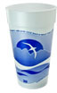 Foam Cup.  20 oz.  Horizon Design.  25 Cups/Sleeve.